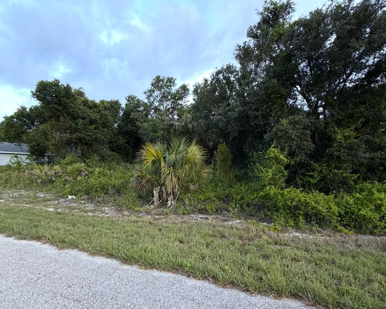 Mangrove Avenue, FL