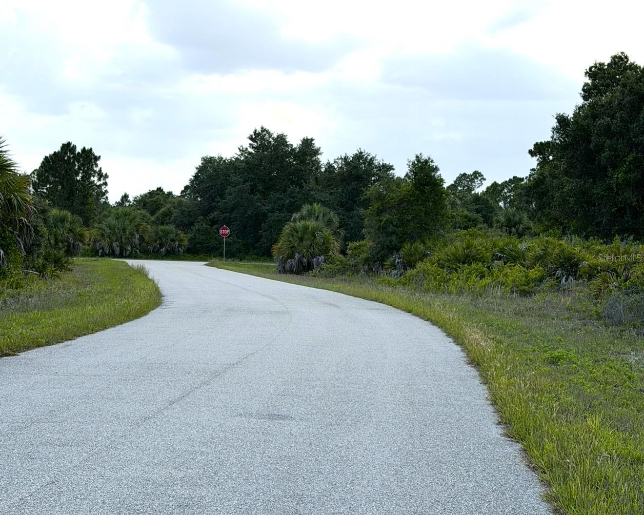 Mangrove Avenue, FL