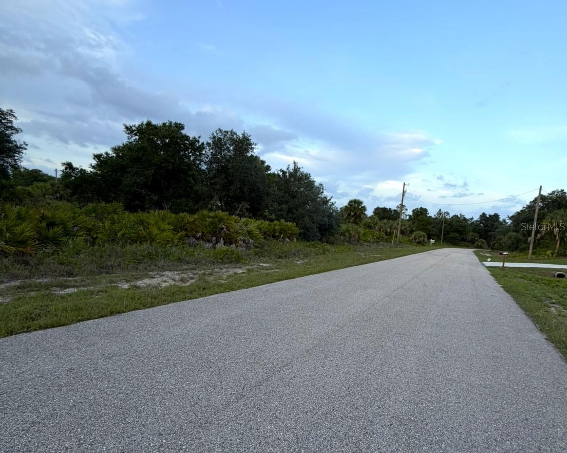 Mangrove Avenue, FL