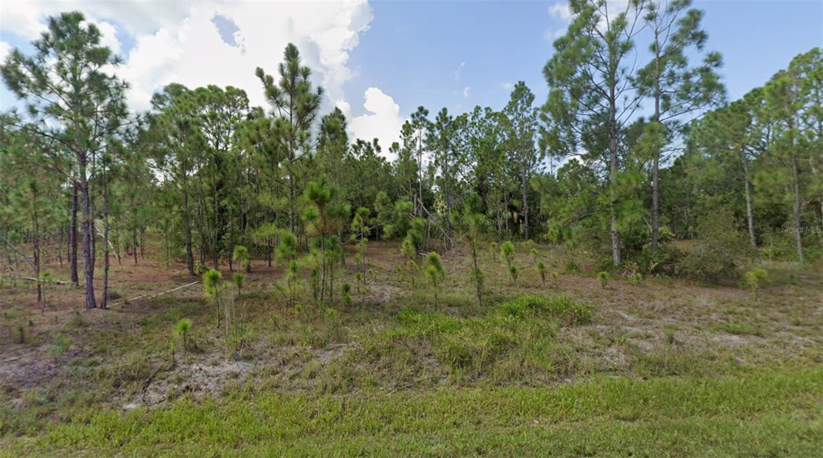 27117 Badger Drive, FL
