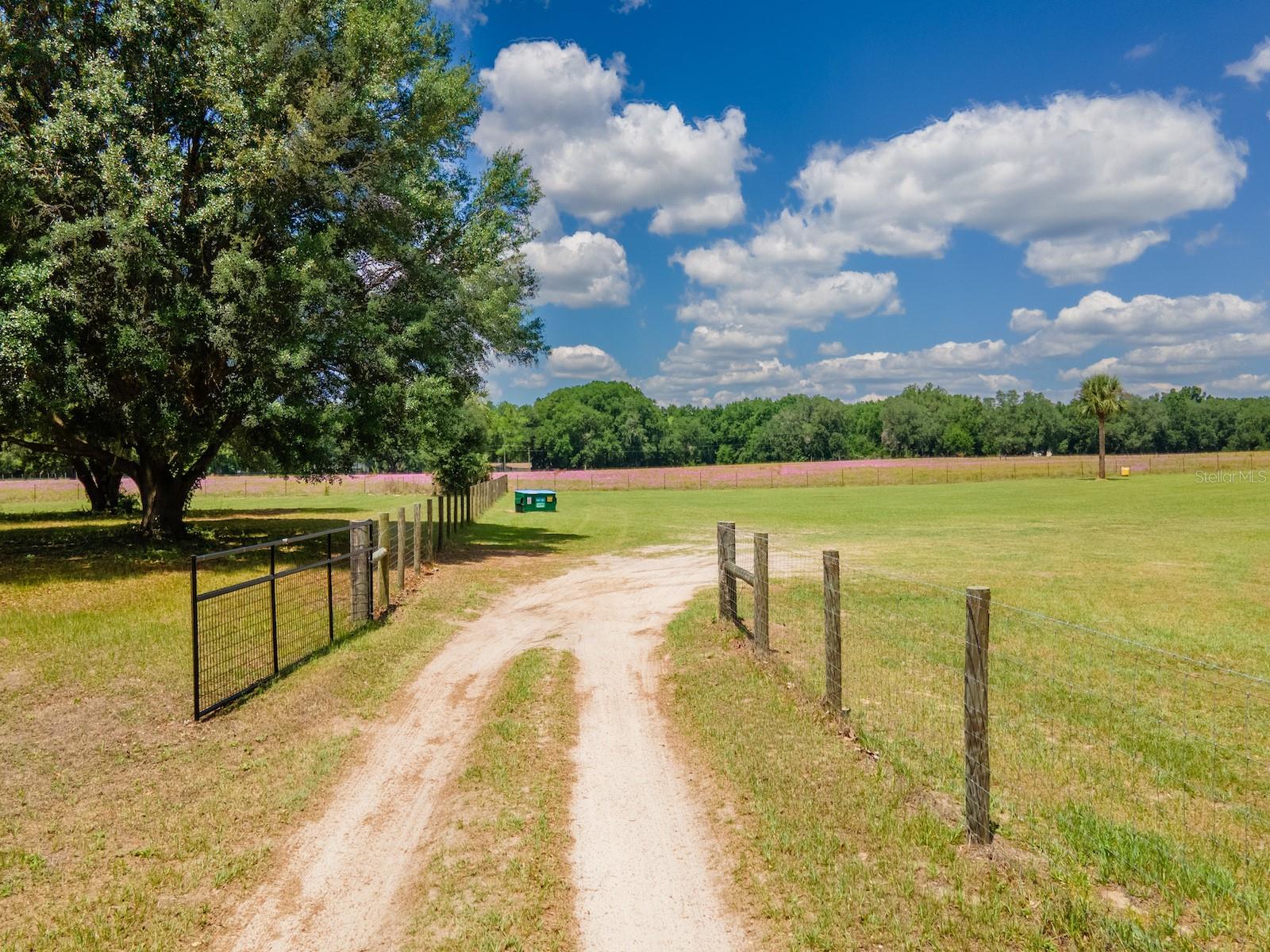 4381 105th Place, FL