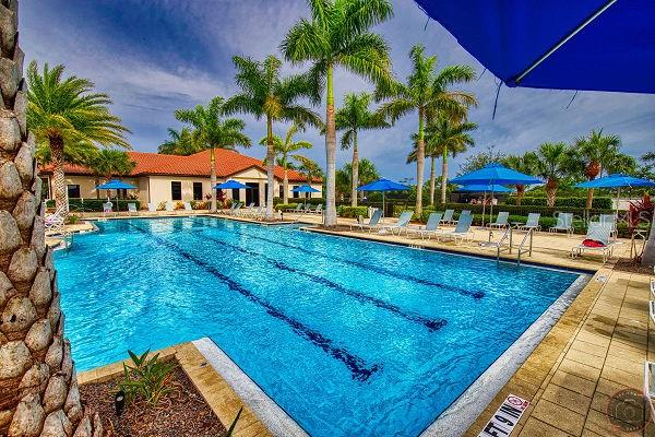 10825 Tarflower Drive, FL