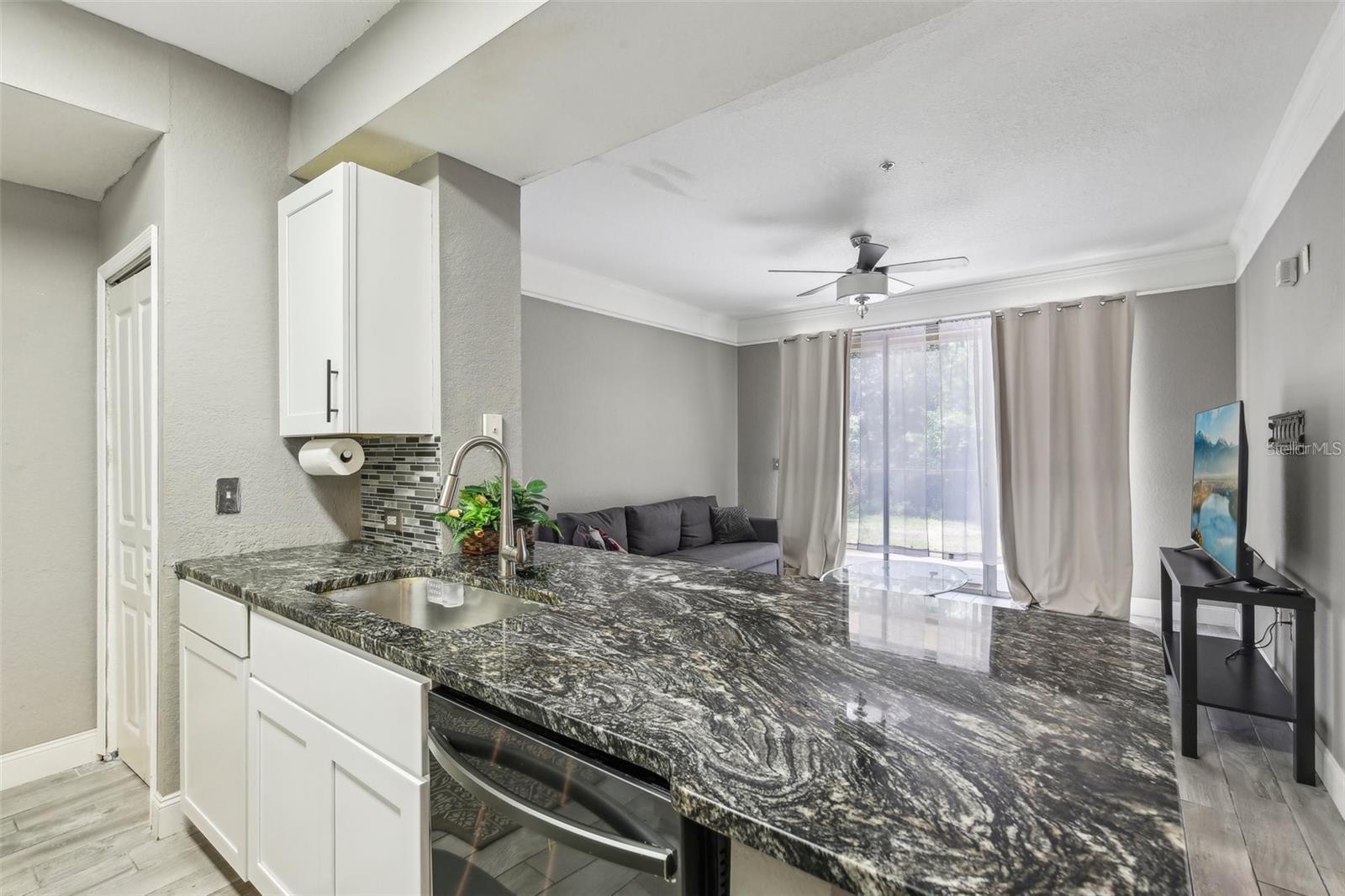 17104 Carrington Park Drive, FL