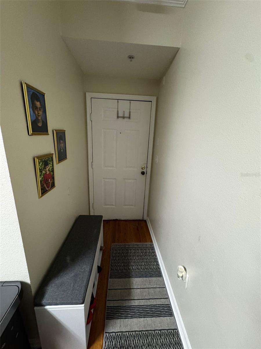 5618 Pinnacle Heights Circle, FL