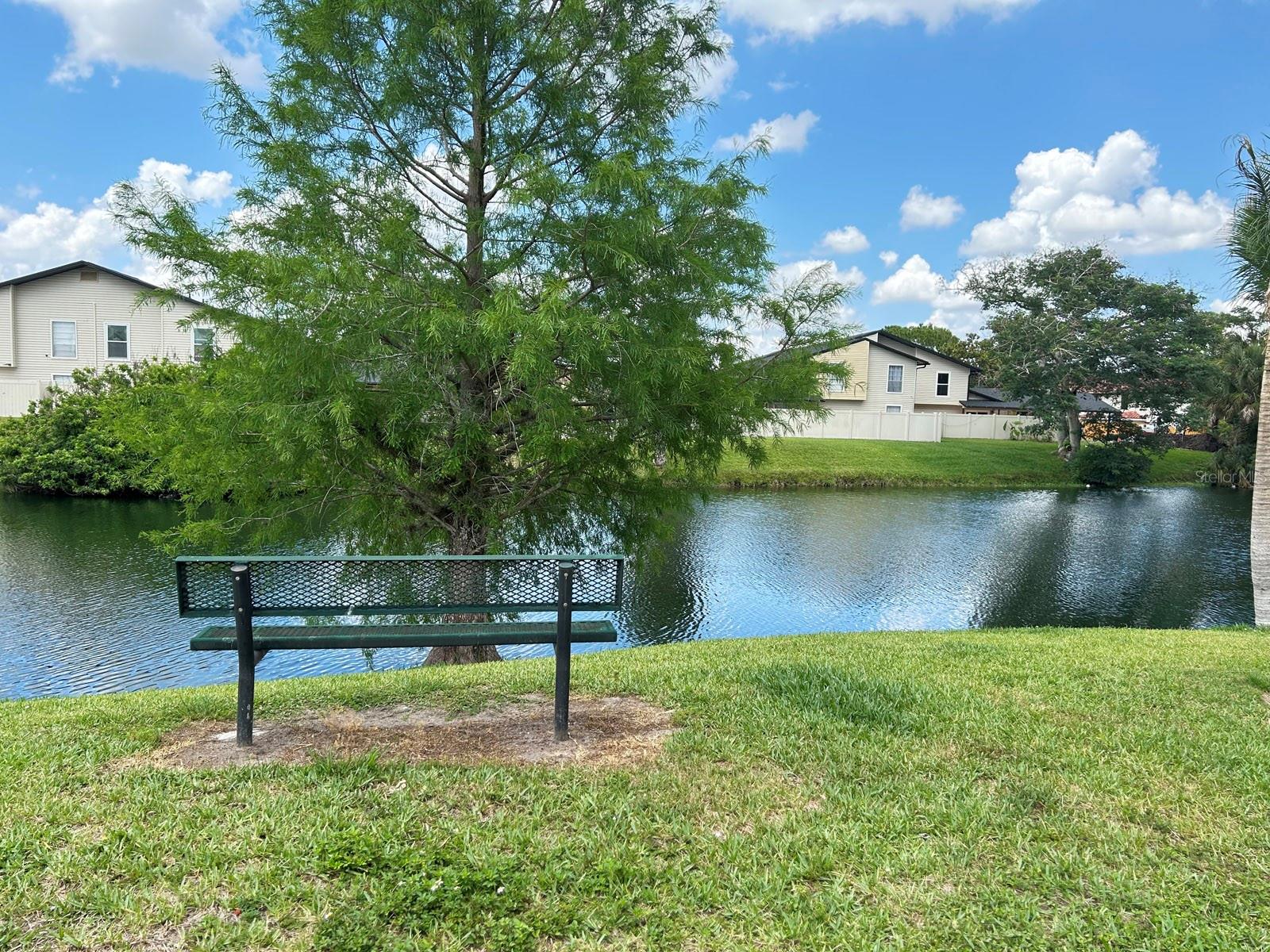 6216 Yorktown Dr, FL