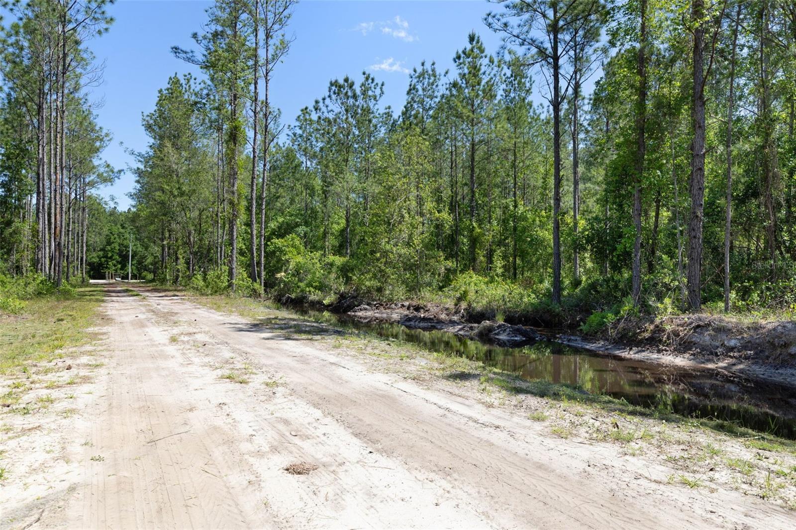 15539 County Rd 305, FL