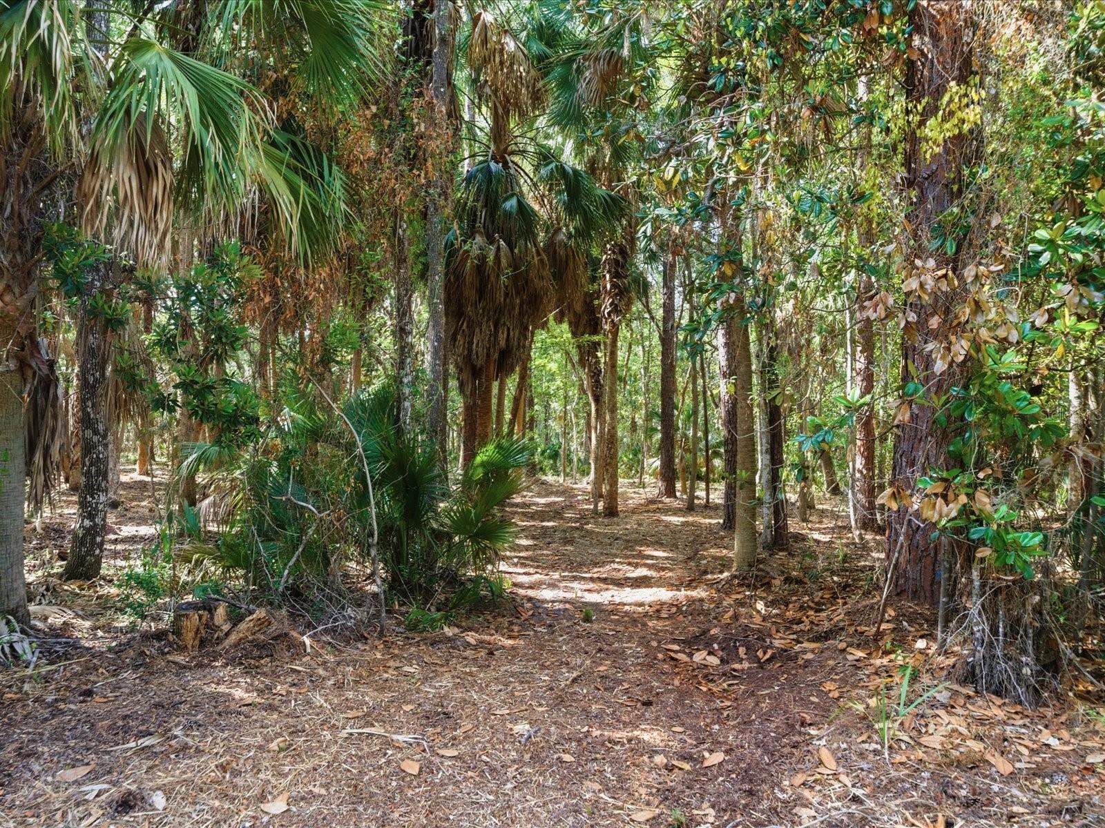 Osowaw Boulevard, FL