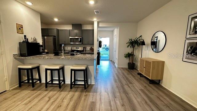 710 Stoney Point Circle, FL