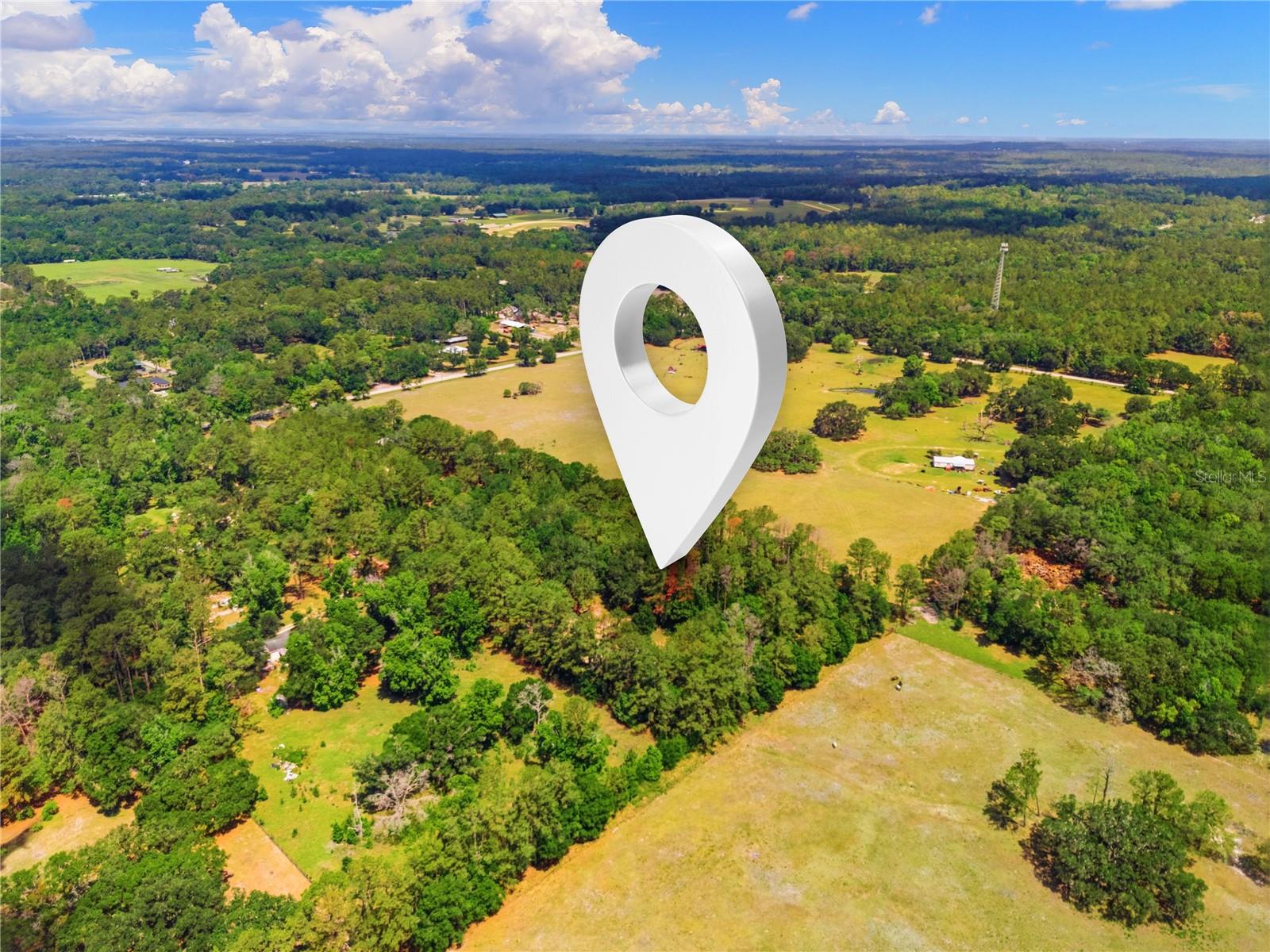 1074 Culbreath Road, FL