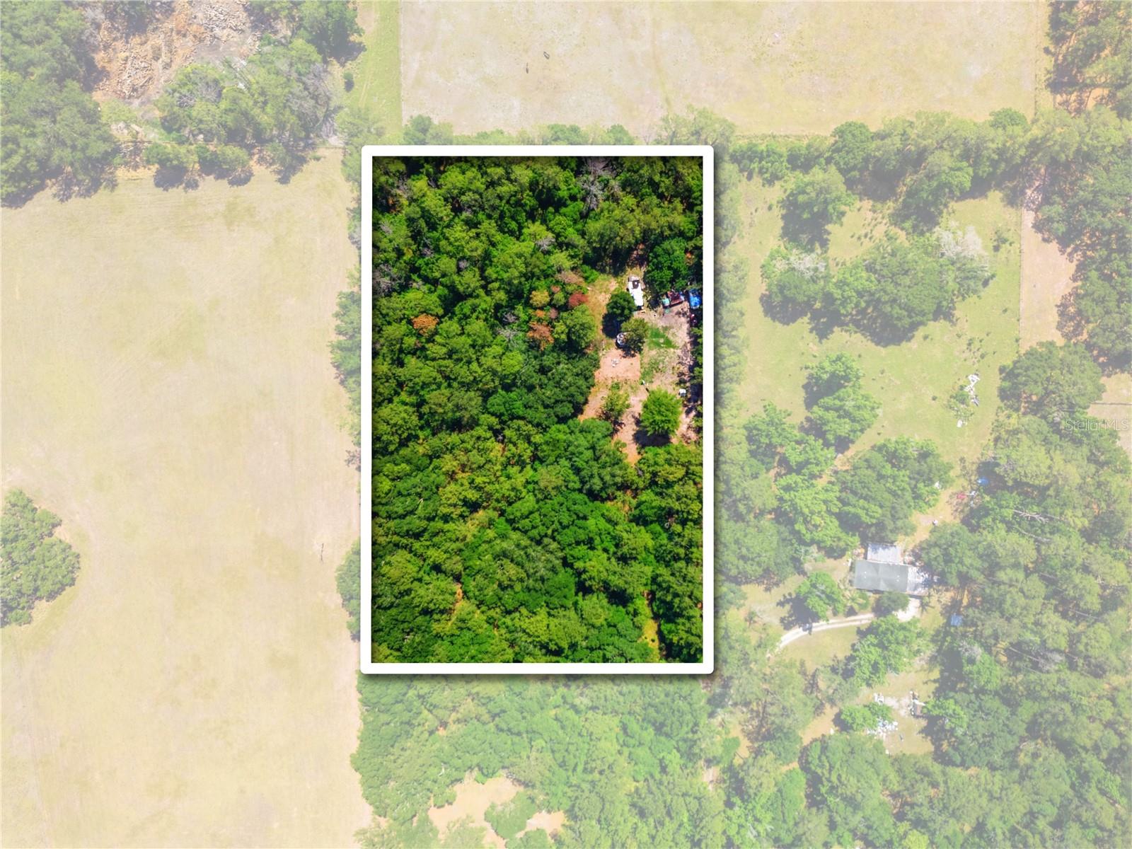 1074 Culbreath Road, FL