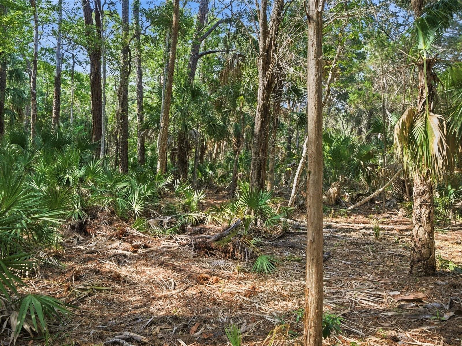 0 Osowaw, FL