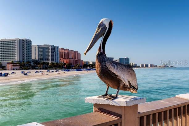 2615 Atlantic Avenue, FL