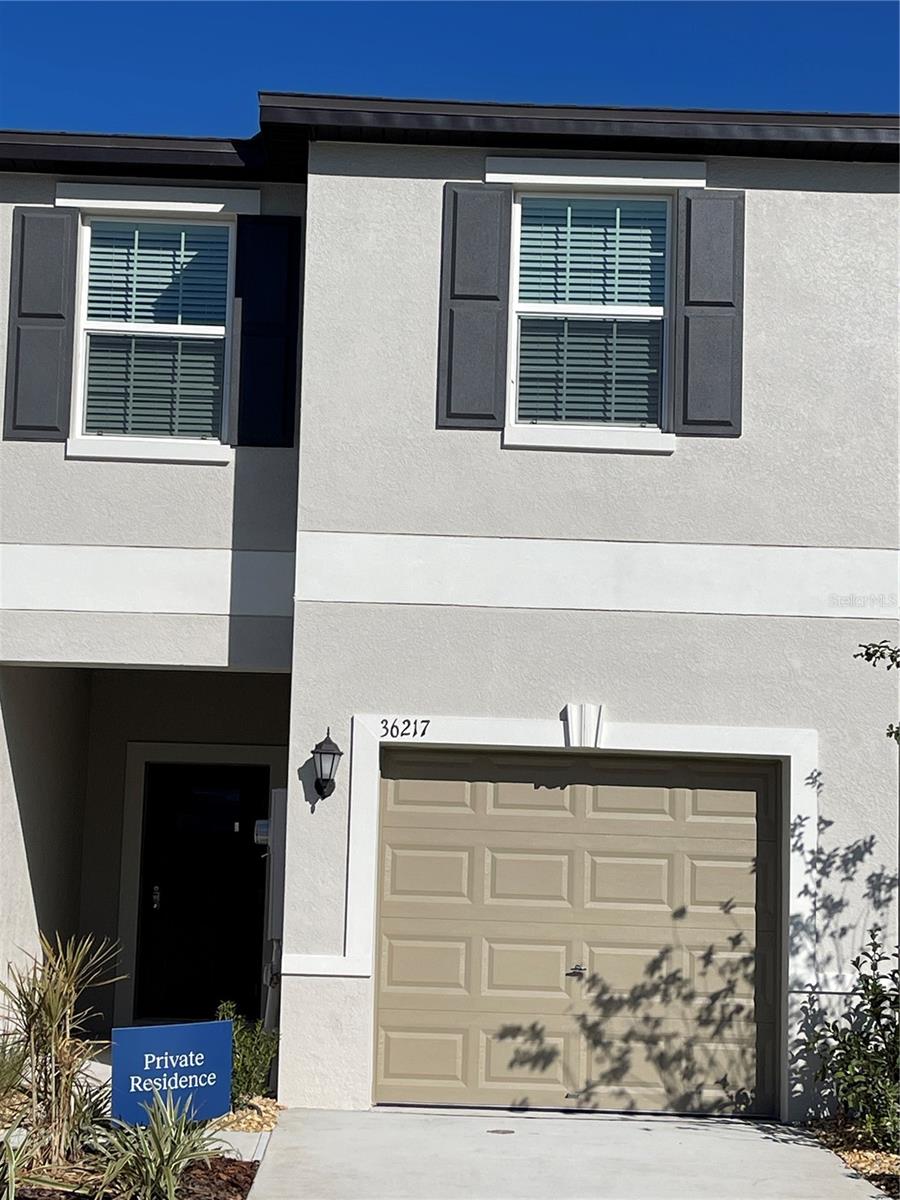 36217 Risa Michele Street, FL
