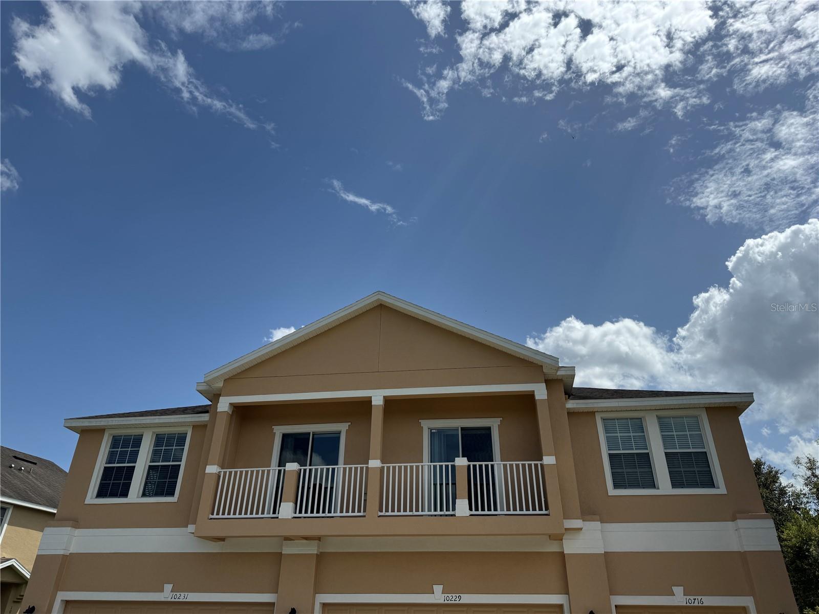 10716 Dawson Lily Way, FL