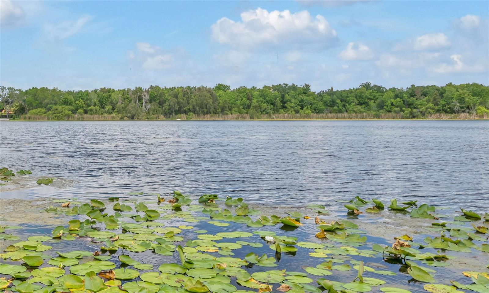 1841 Lake Spier Drive, FL