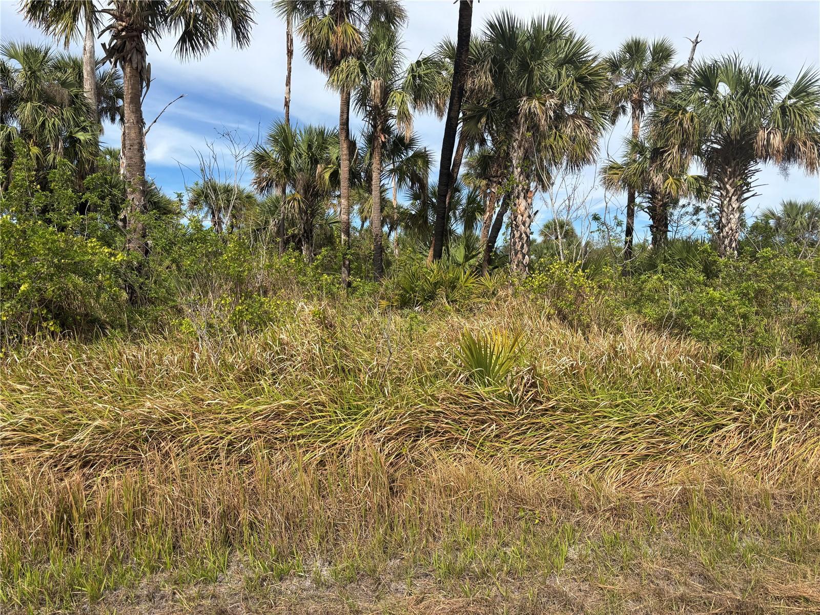 Melissa Terrace, FL