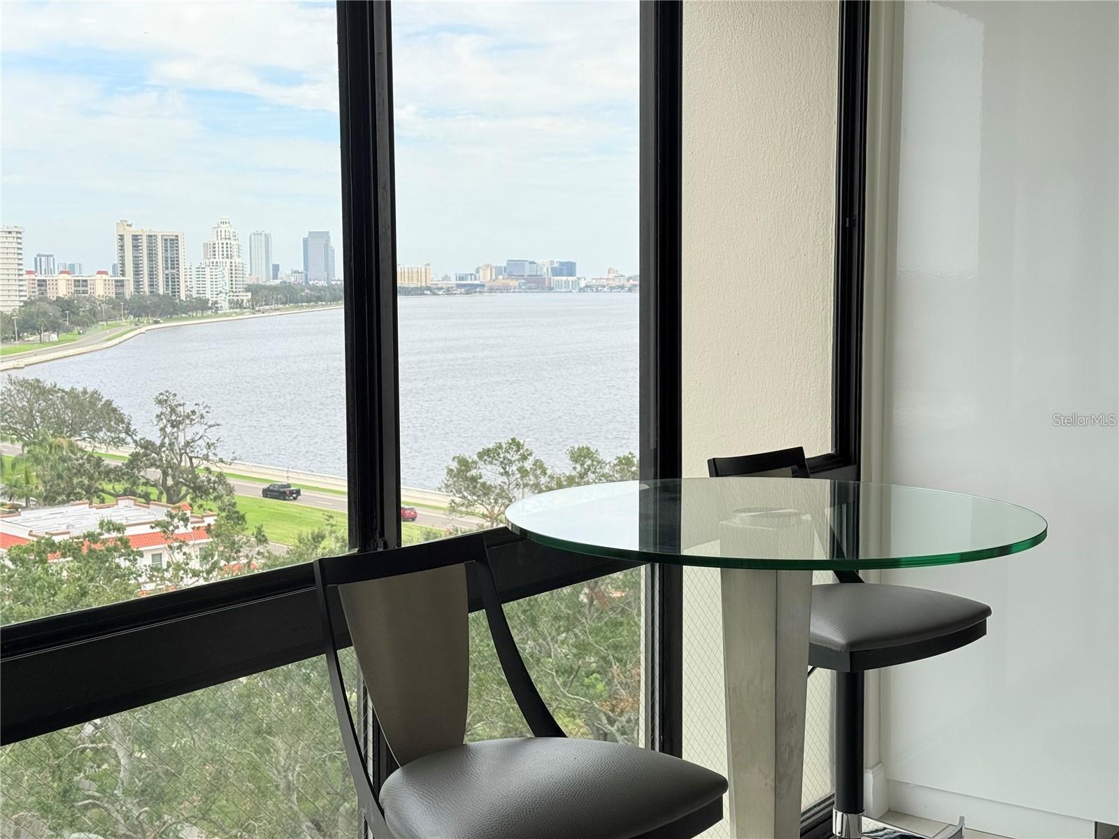 3301 Bayshore Boulevard, FL
