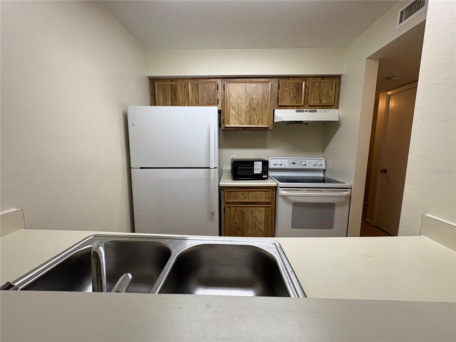 14317 Hanging Moss Circle, FL