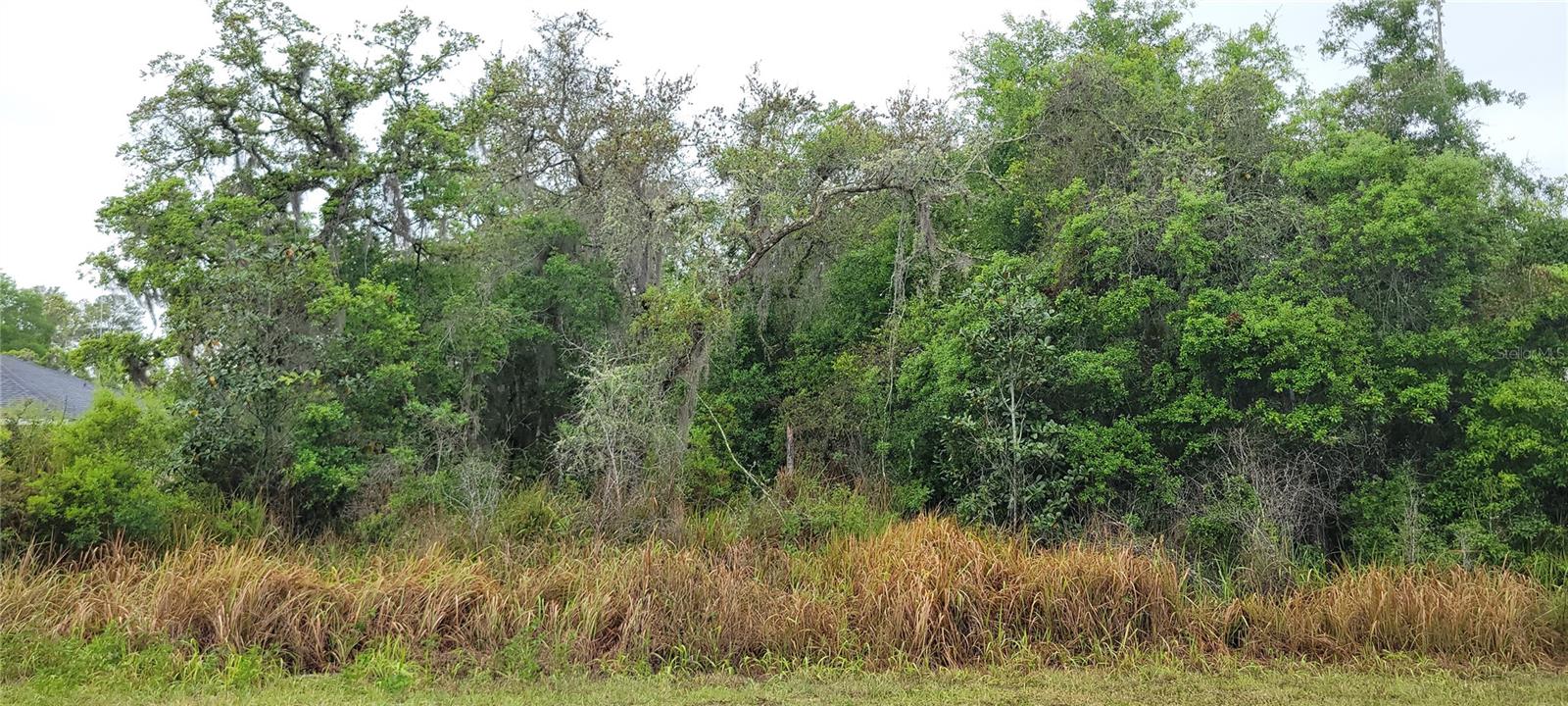 Spruce Road, FL