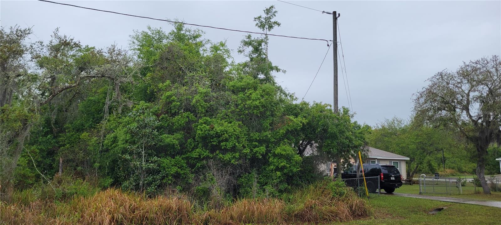 Spruce Road, FL