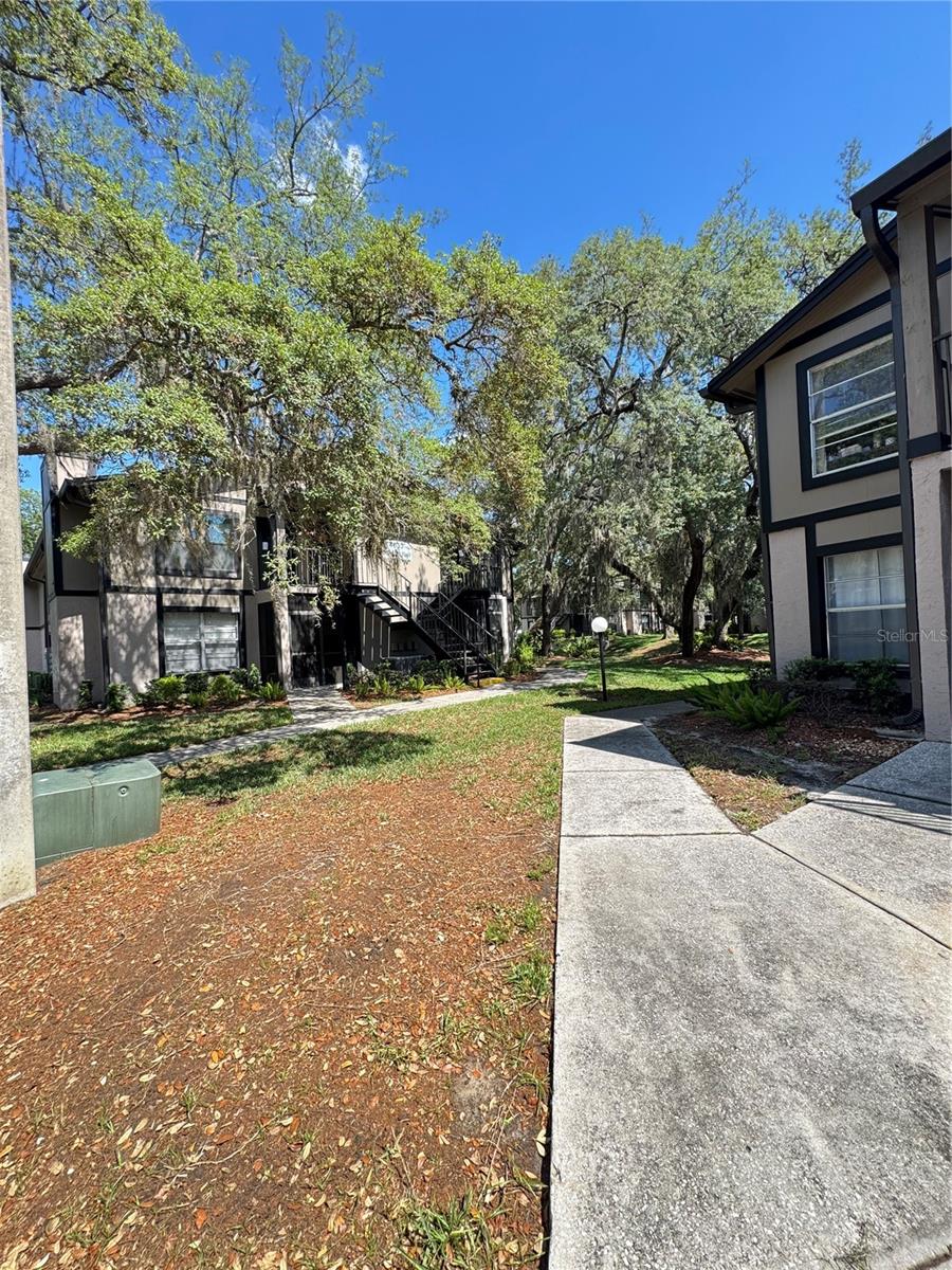 4033 Dream Oak Place, FL