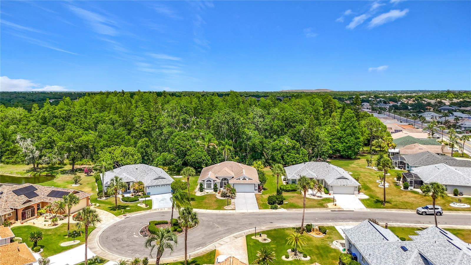 1707 Tremont Court, FL