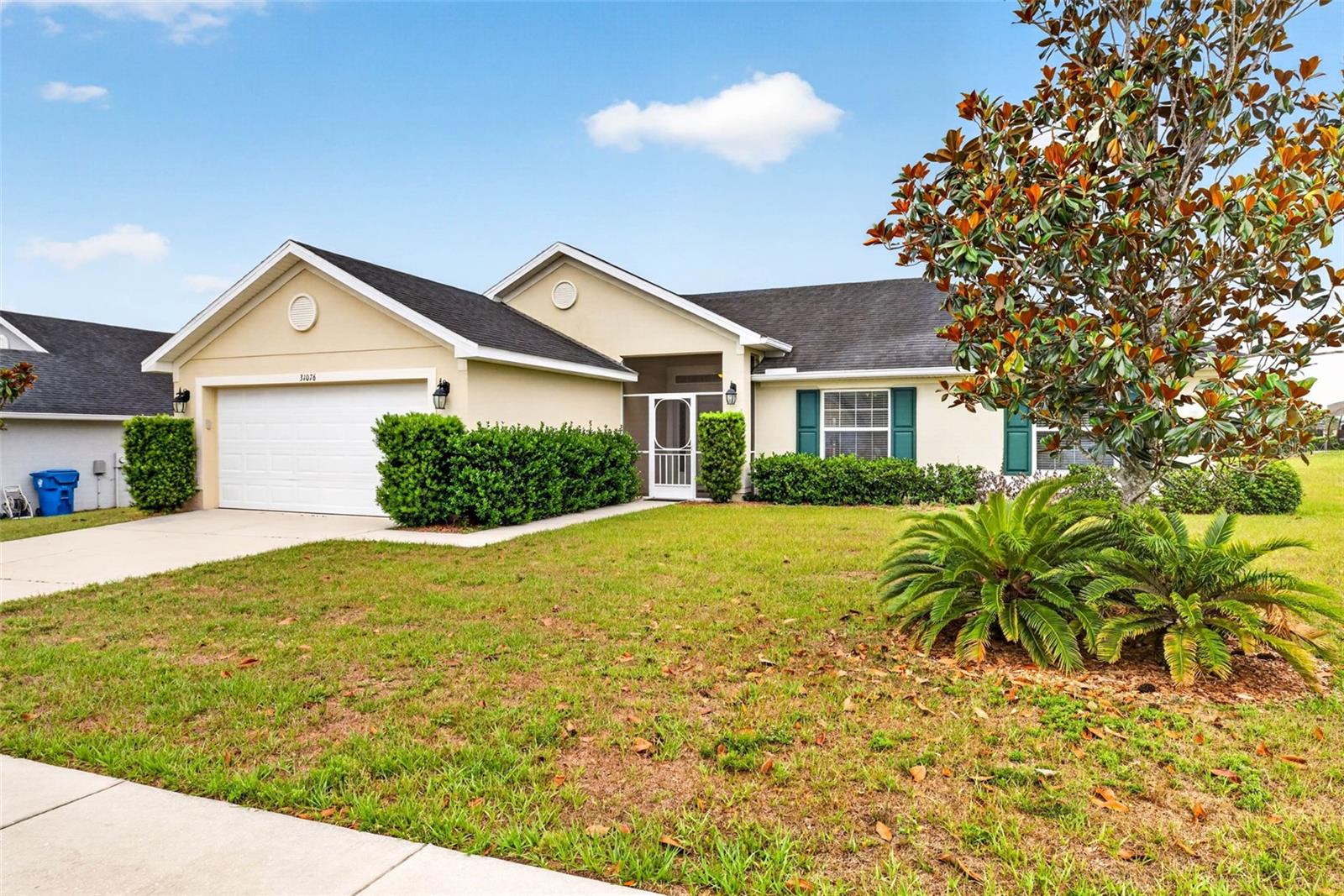 31076 Water Lily Drive, FL