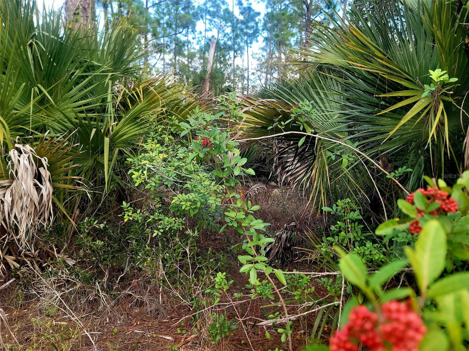 141 Naples Avenue, FL
