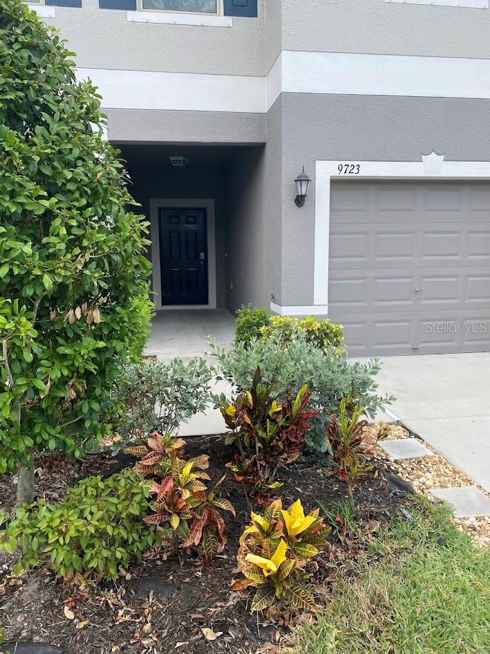 9723 Mulberry Marsh Lane, FL