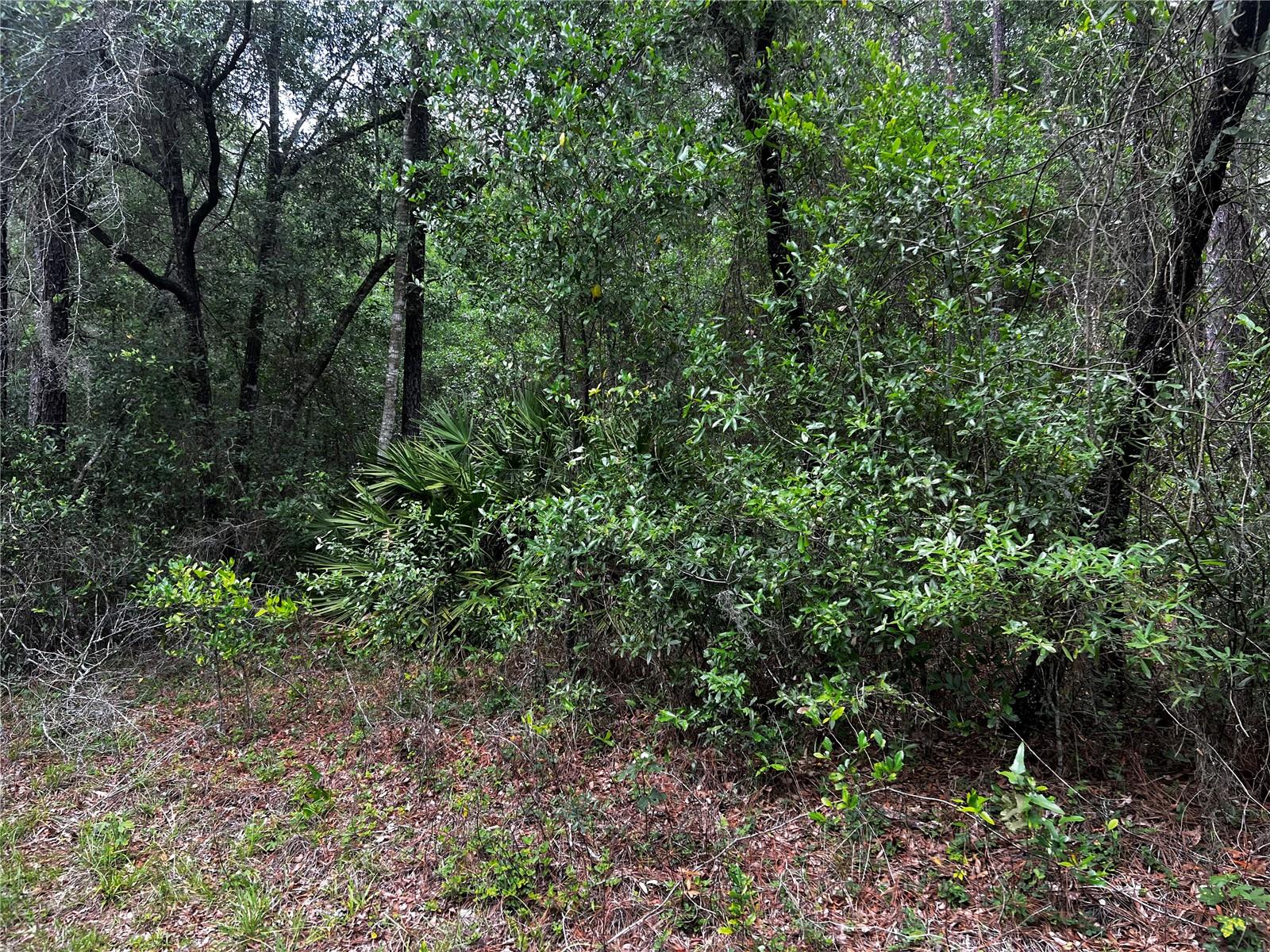 Tbd 186th Ct., FL