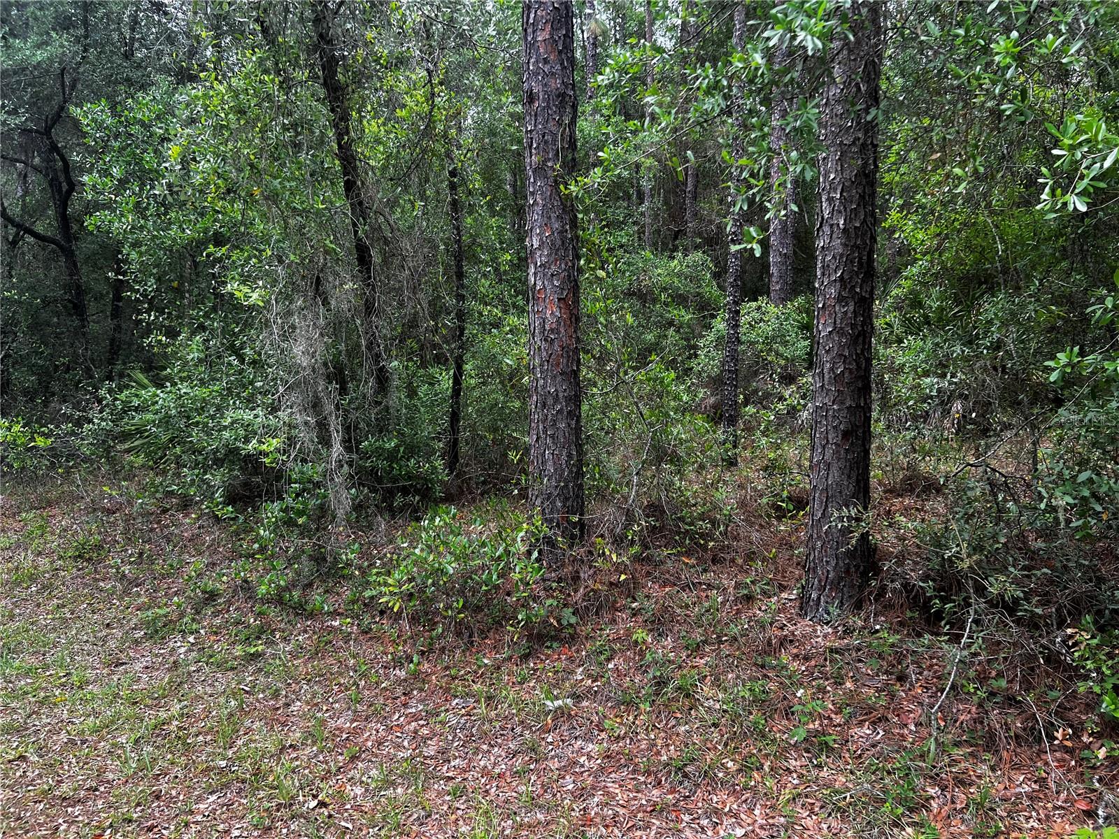 Tbd 186th Ct., FL