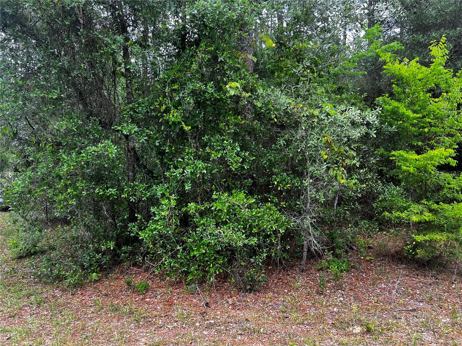 Tbd 186th Ct., FL