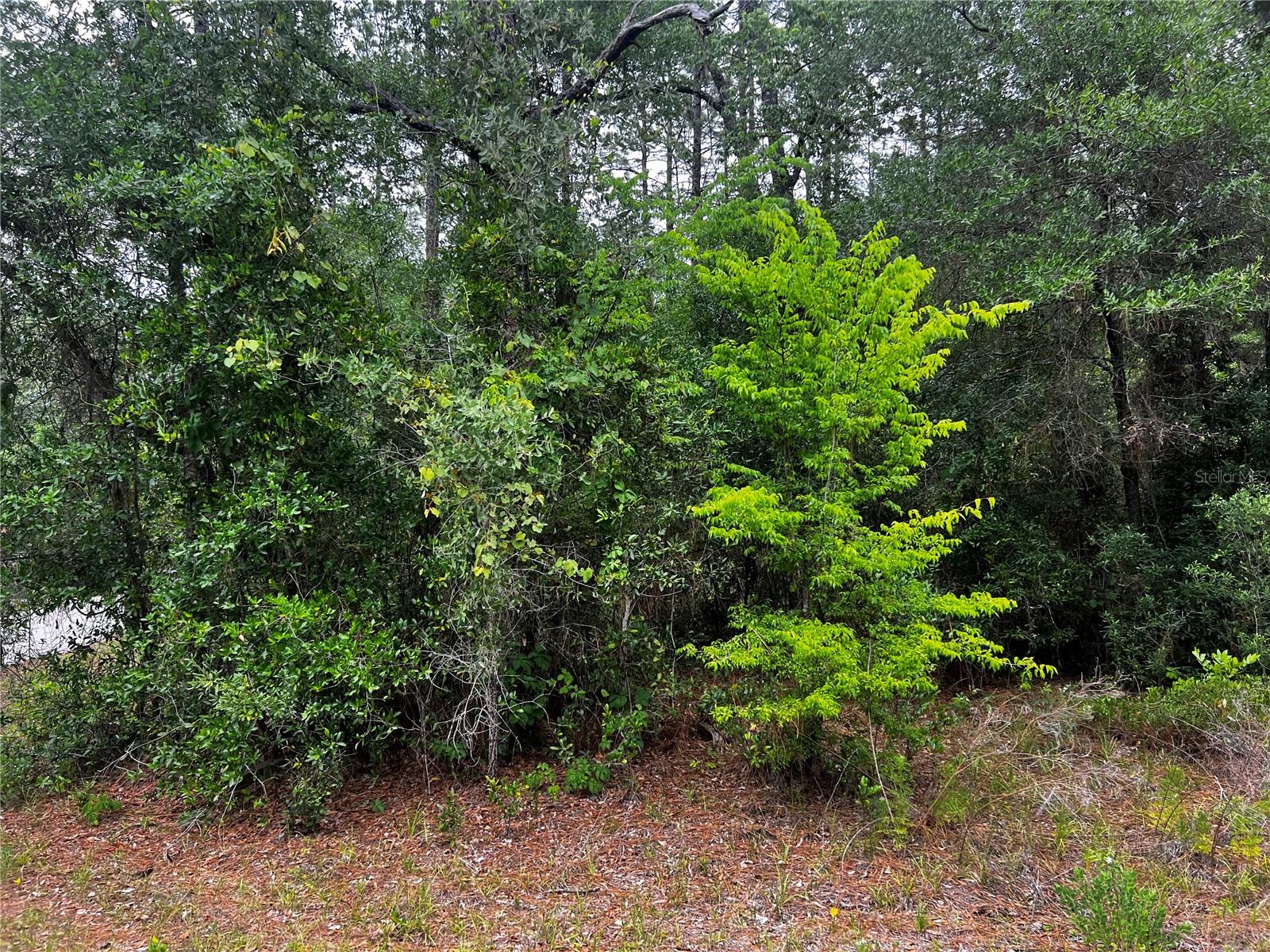 Tbd 186th Ct., FL