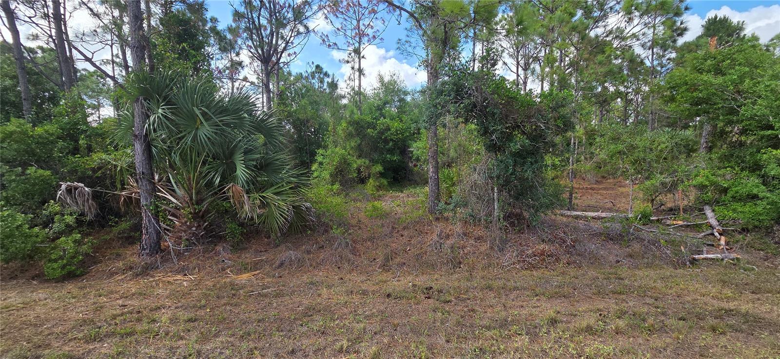 27402 Mandalay Drive, FL