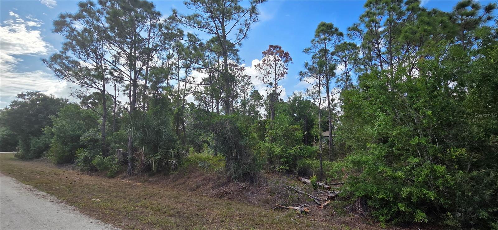 27402 Mandalay Drive, FL