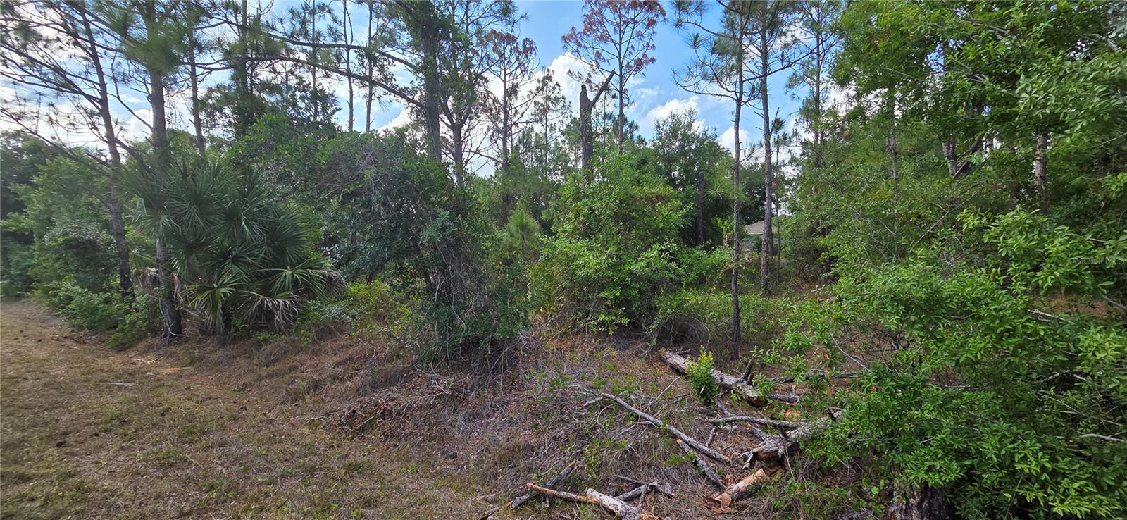 27408 Mandalay Drive, FL