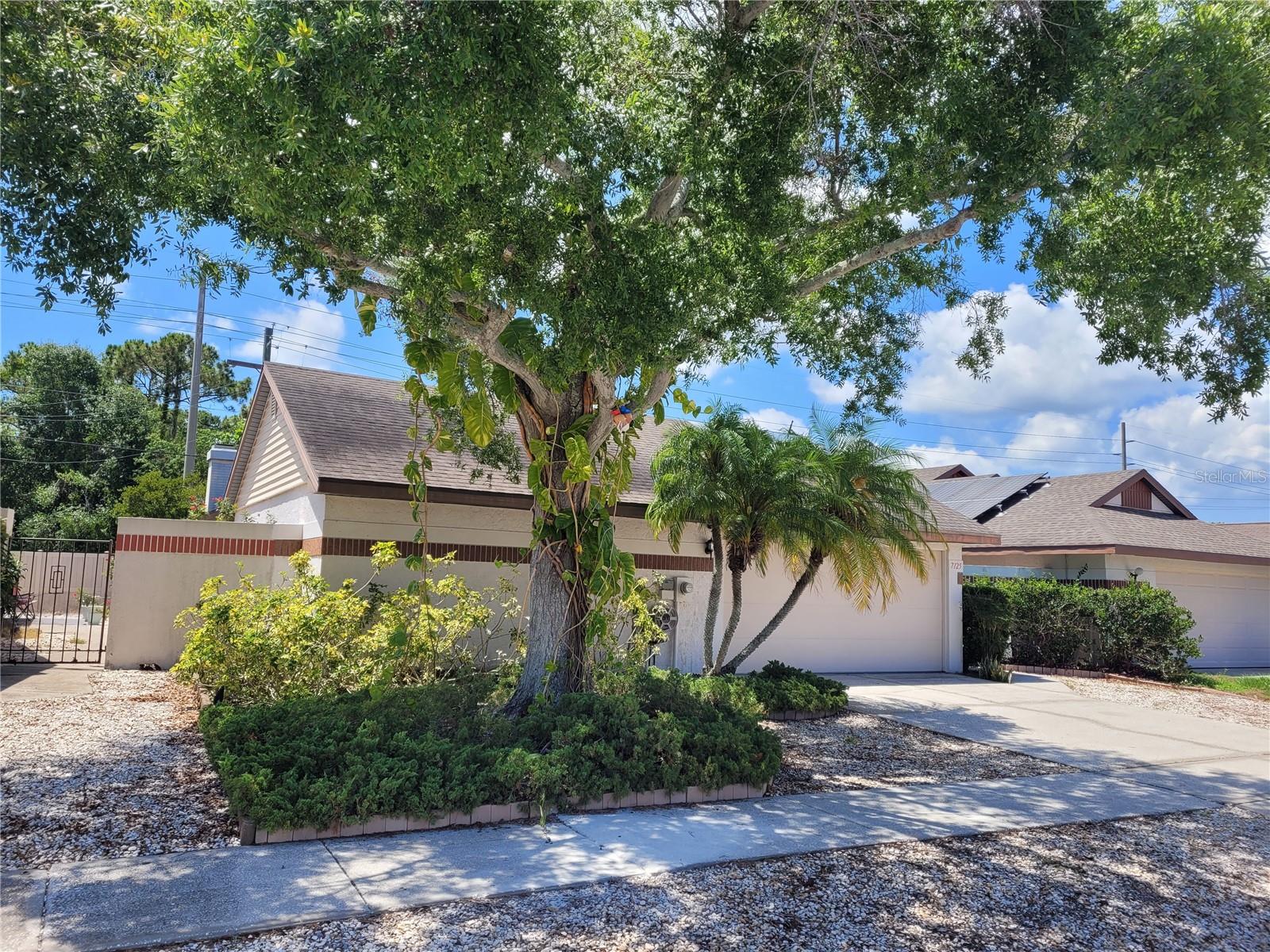 7125 Silvermill Drive, FL
