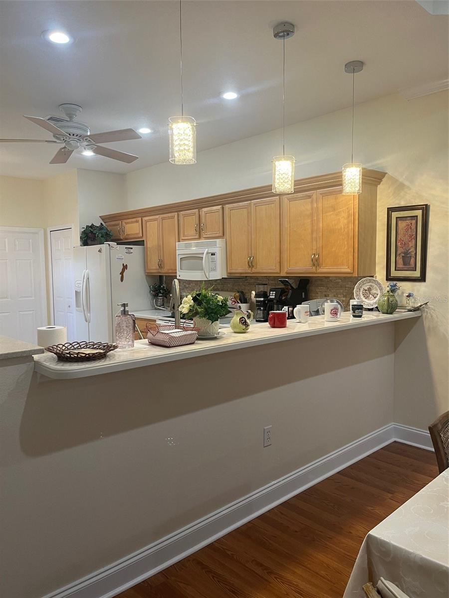 7245 Cleopatra Drive, FL