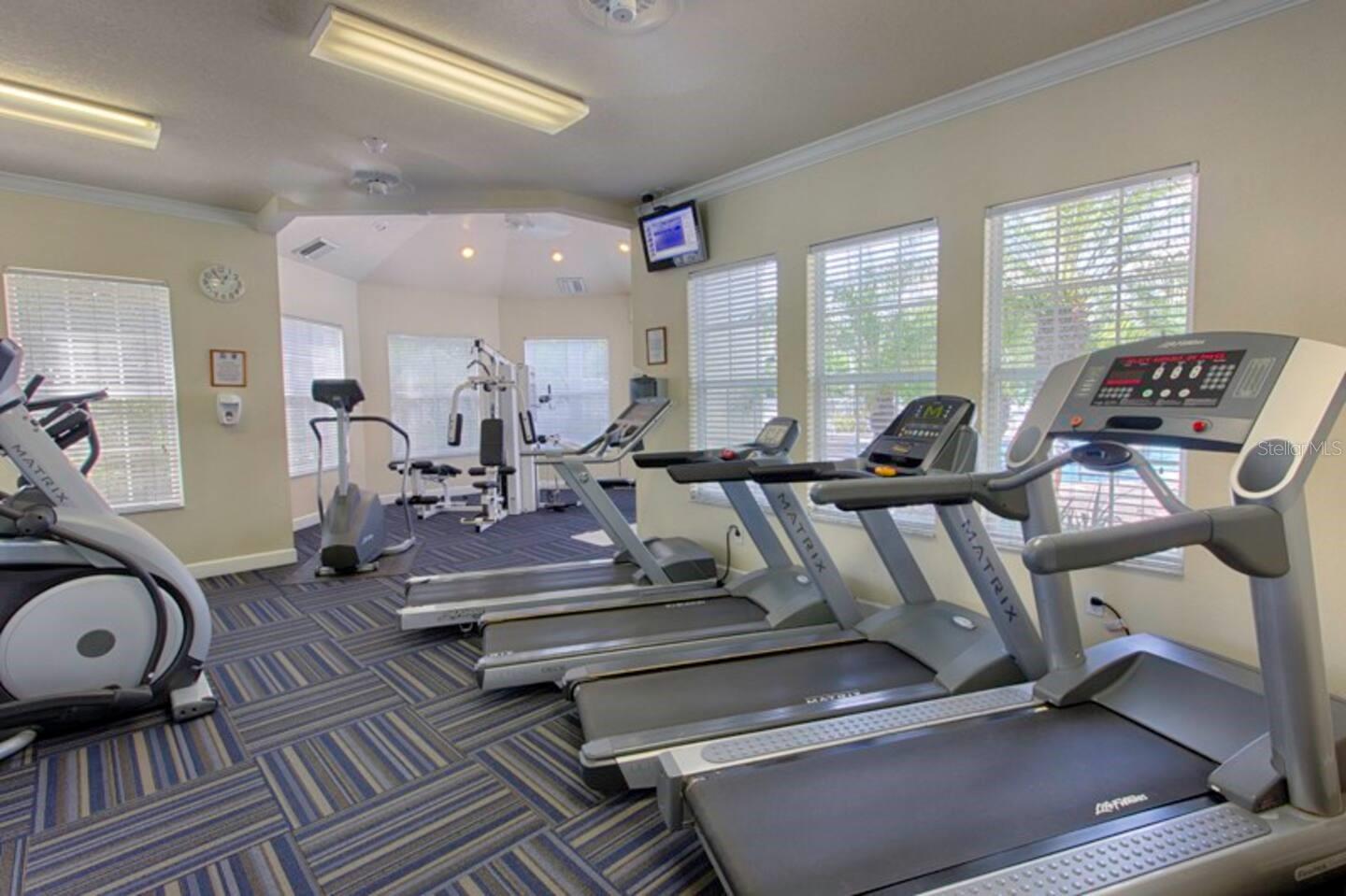 8100 Princess Palm Lane, FL