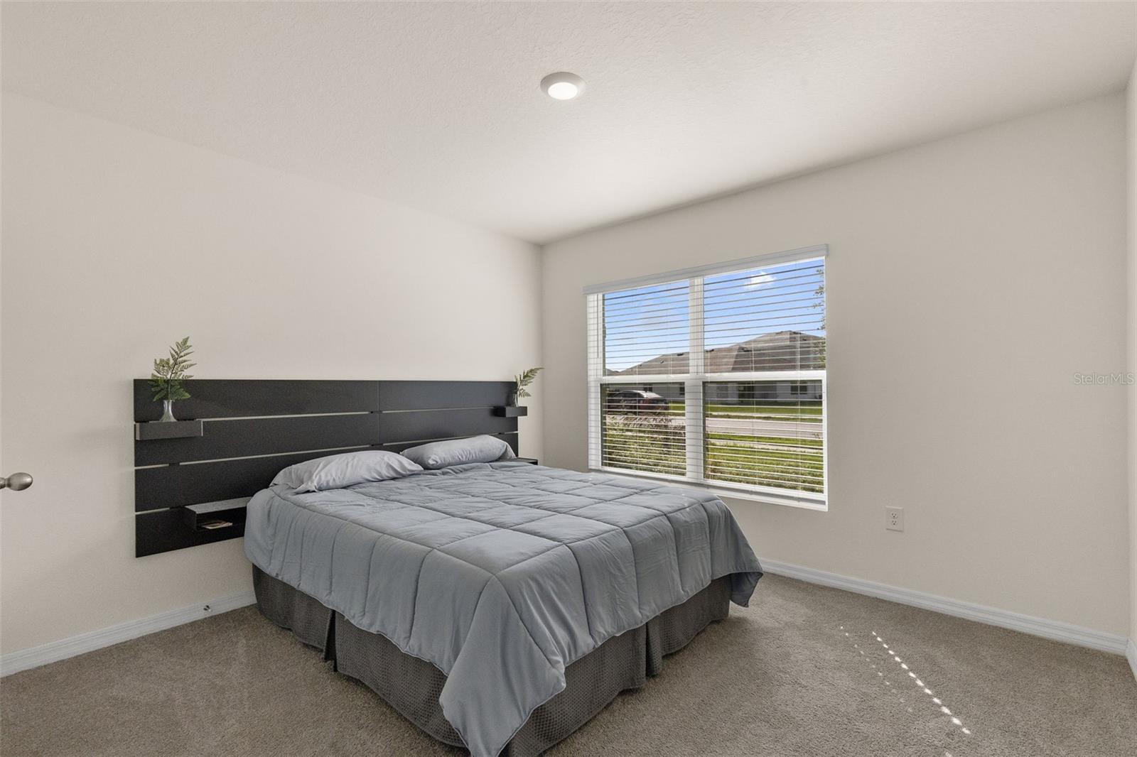 37207 Sharks Eye Lane, FL
