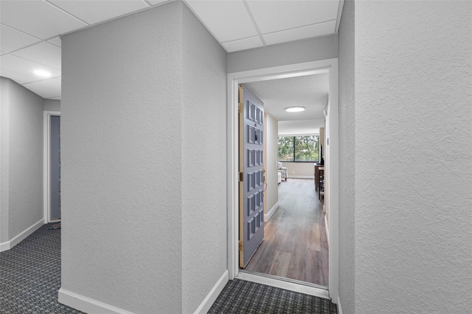 6158 Palma Del Mar Boulevard, FL