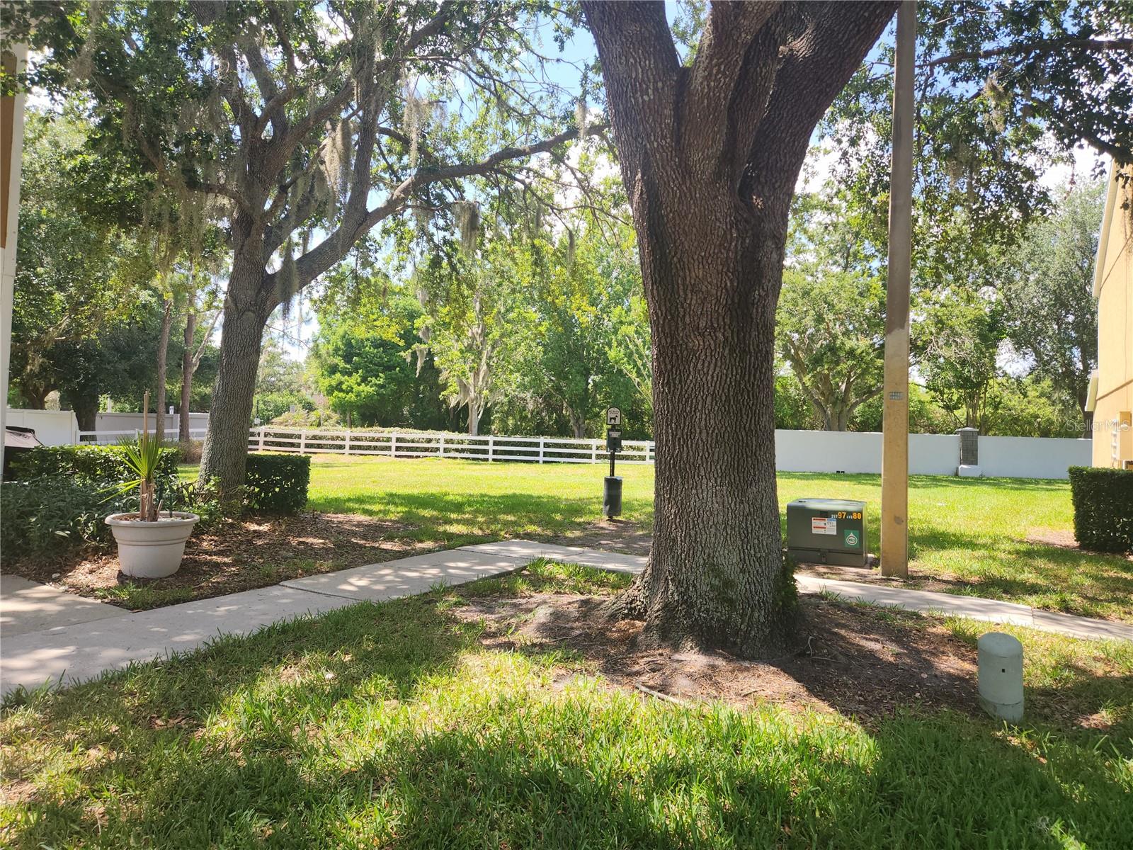 1317 Throckmorton Drive, FL