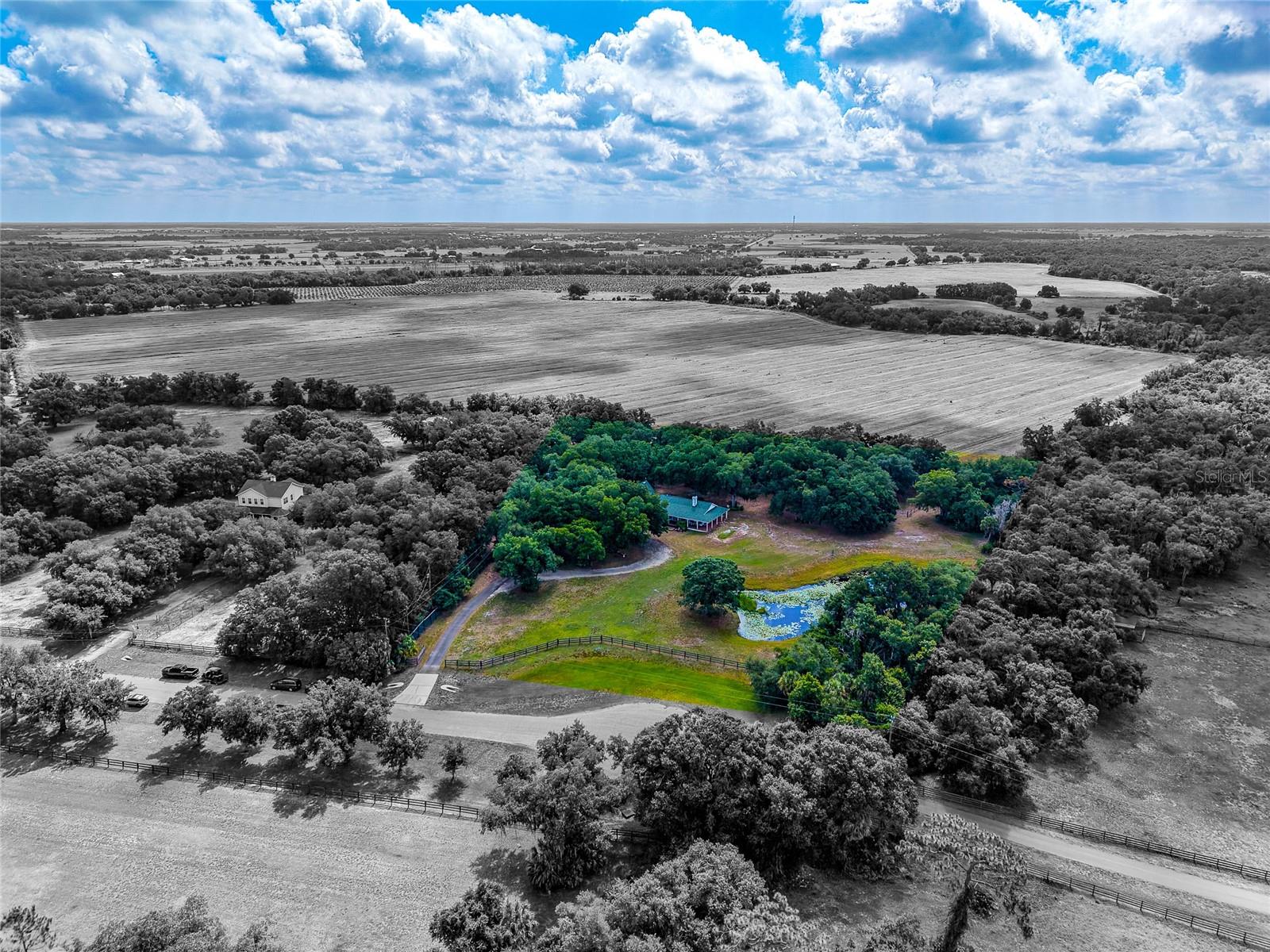 14705 Mossy Hammock Lane, FL