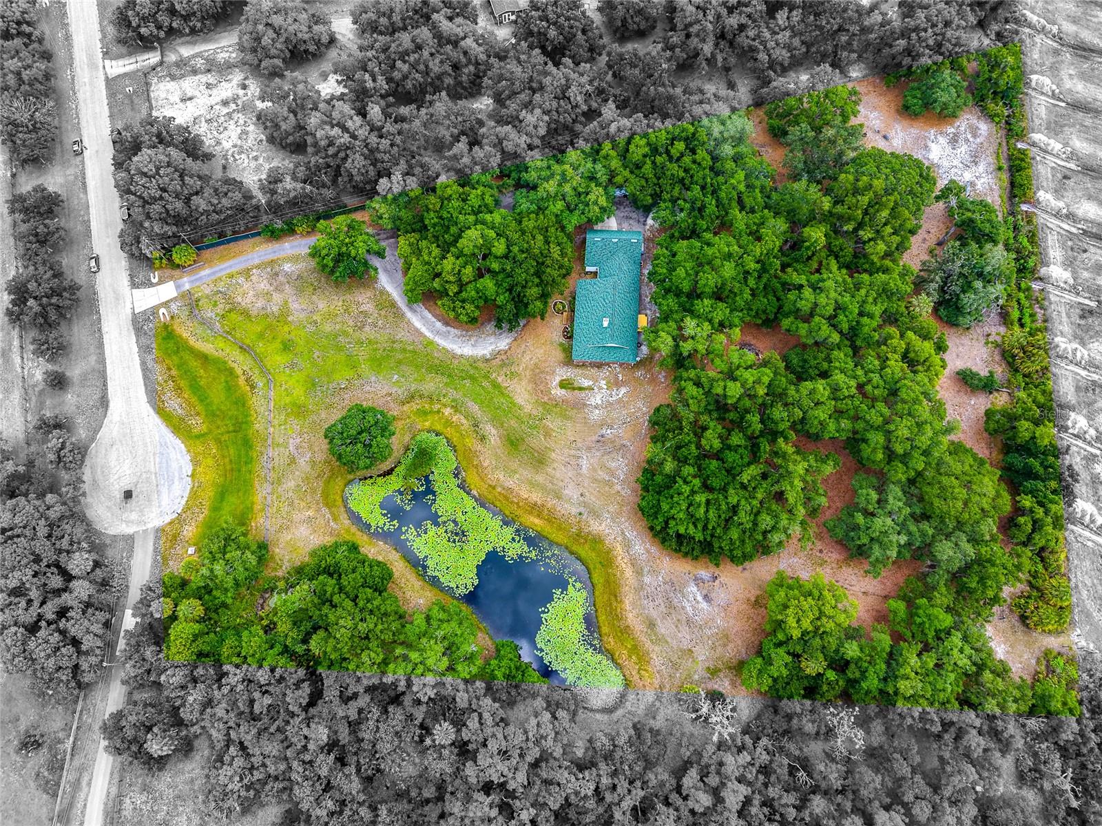 14705 Mossy Hammock Lane, FL