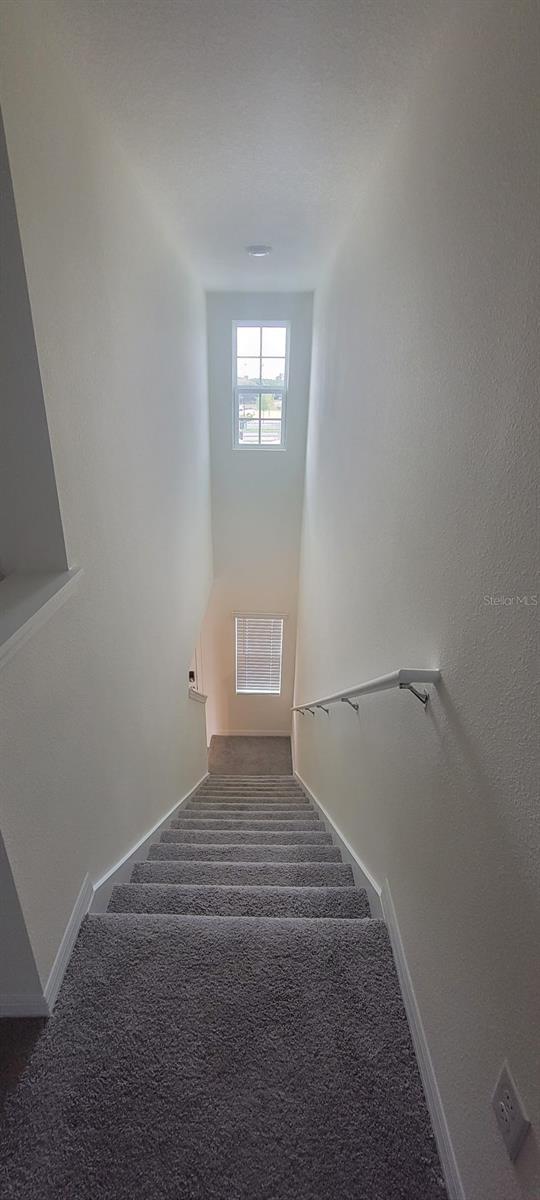 2927 Hammock Bend, FL