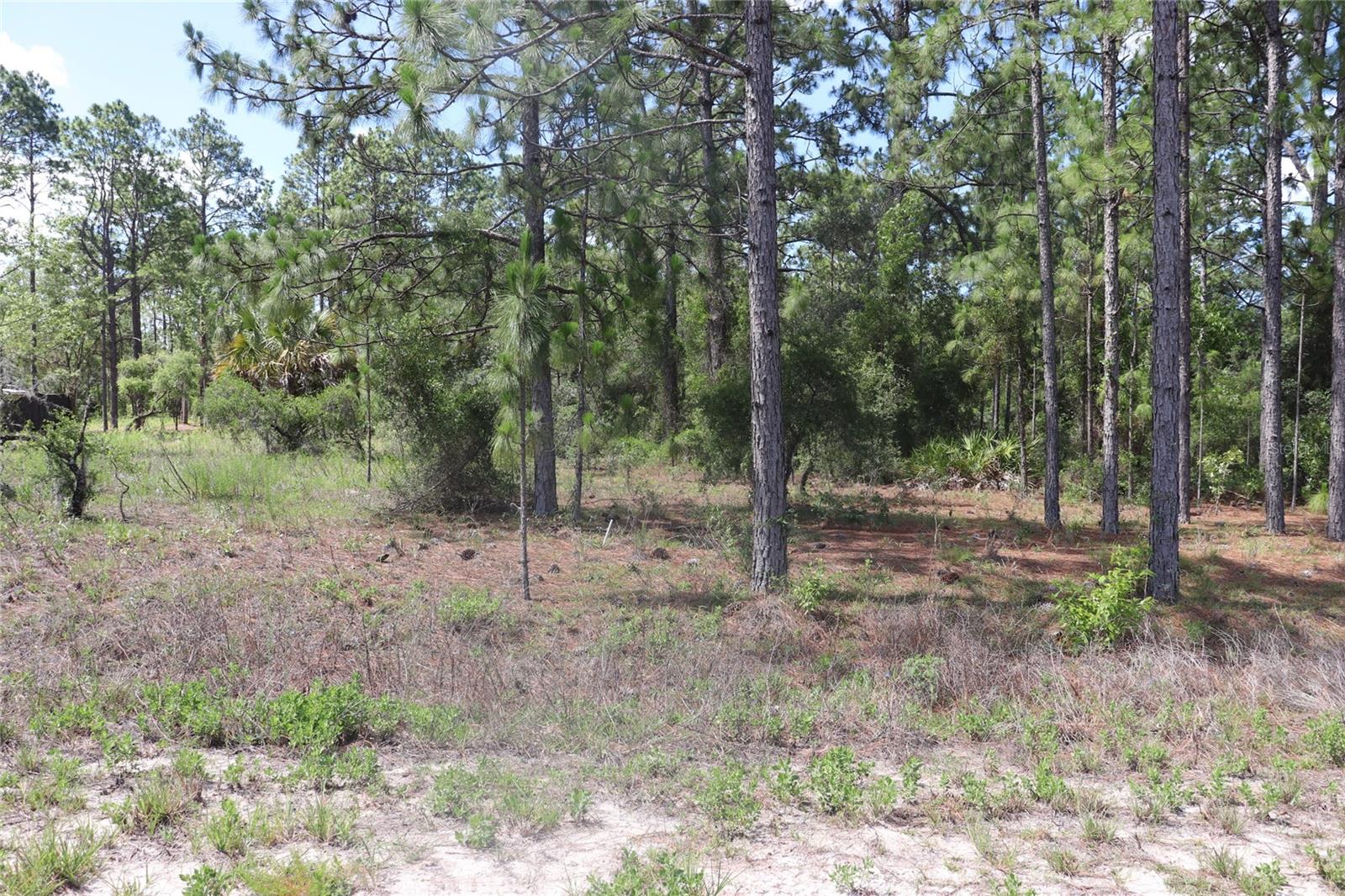Tbd Se 114th Place, FL
