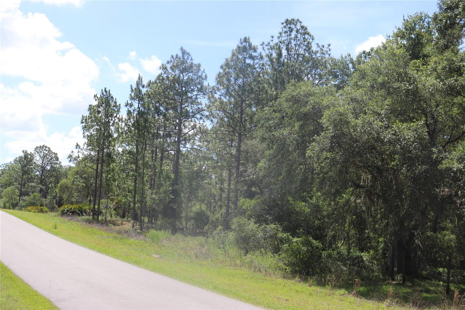Tbd Se 114th Place, FL