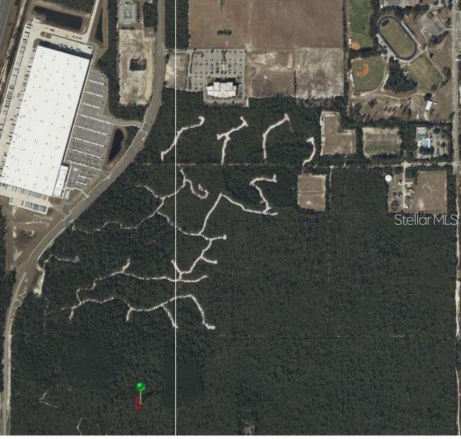 Belaire (Paper) Avenue, FL
