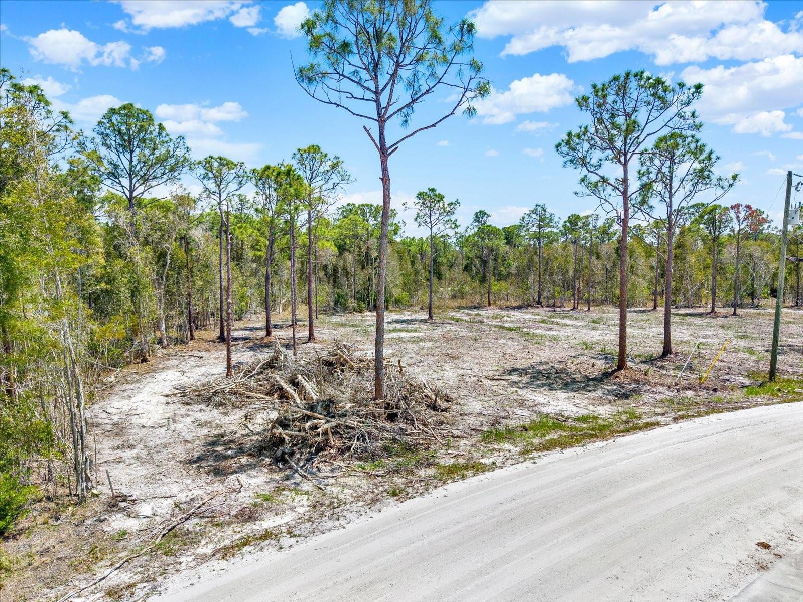 12268 Finwick Drive, FL