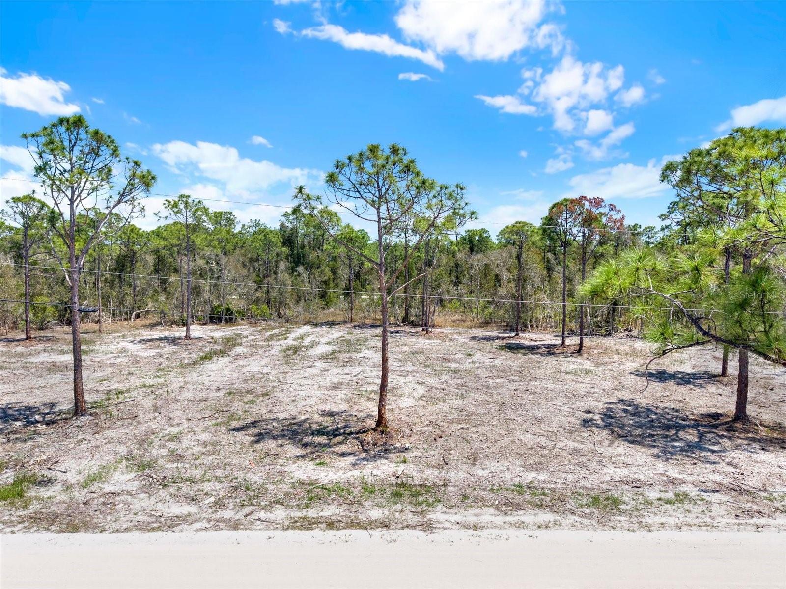 12278 Finwick Drive, FL